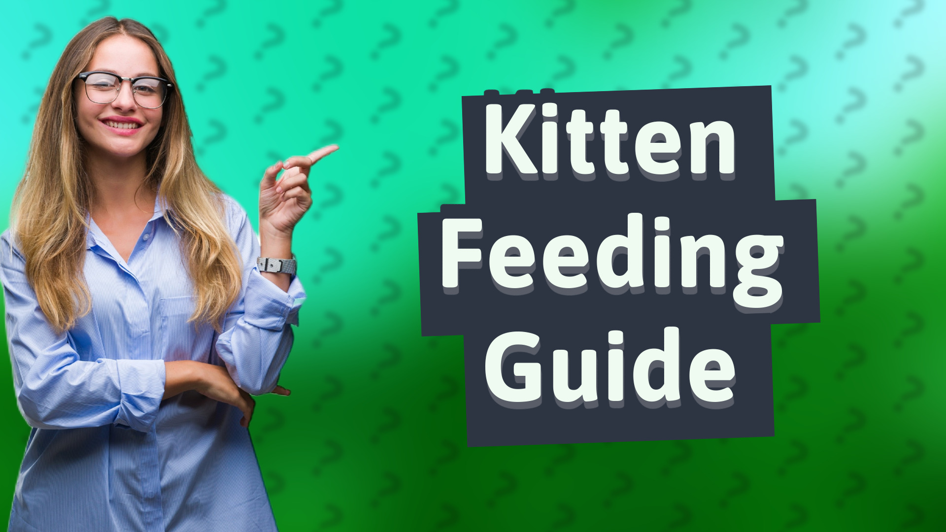 Kitten Feeding Guide