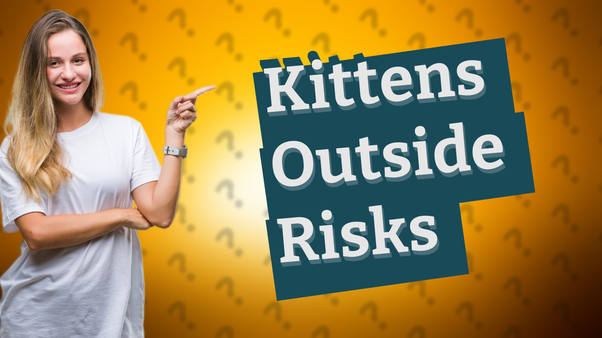 Kittens Outside Risks