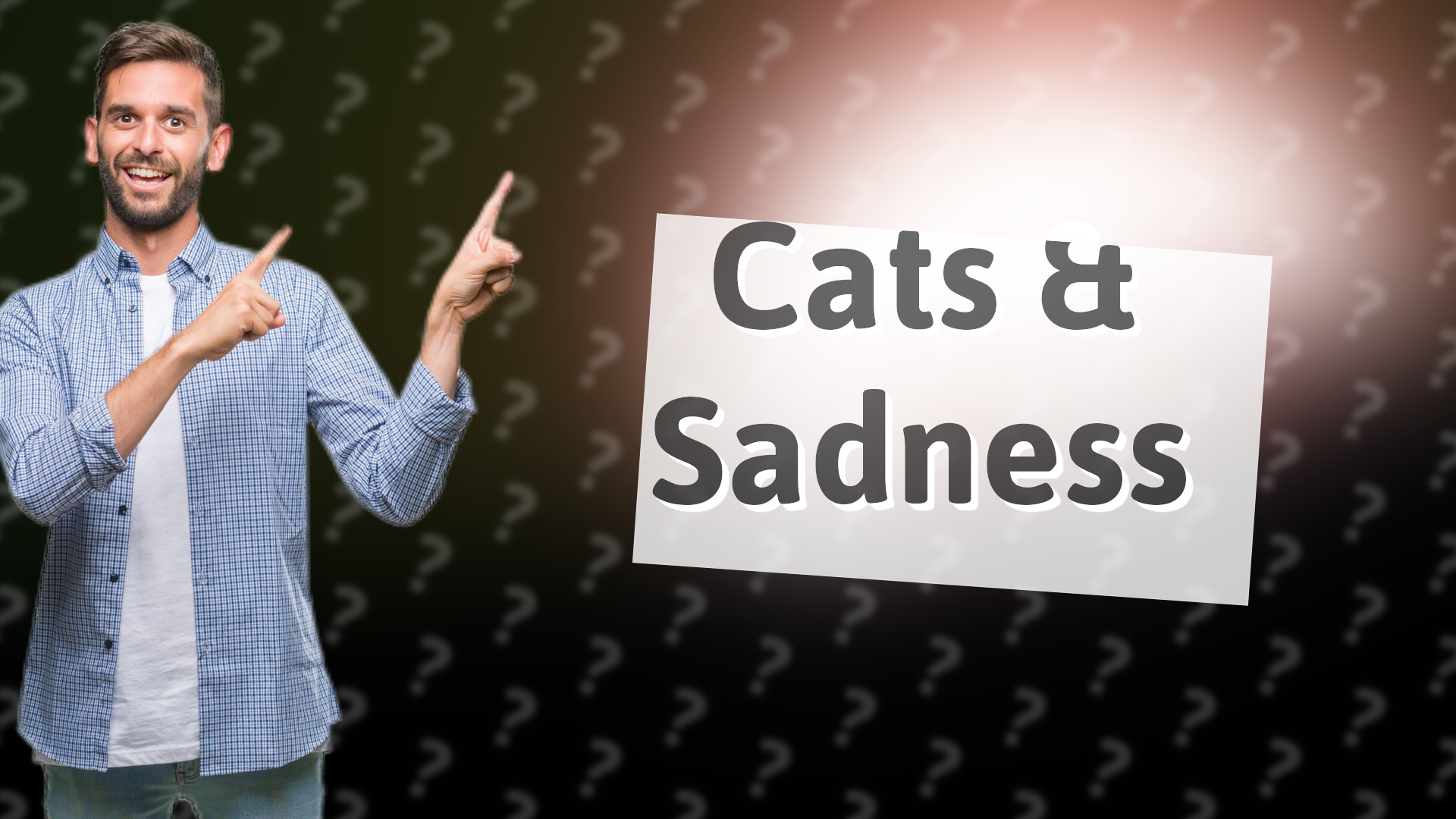 Cats & Sadness