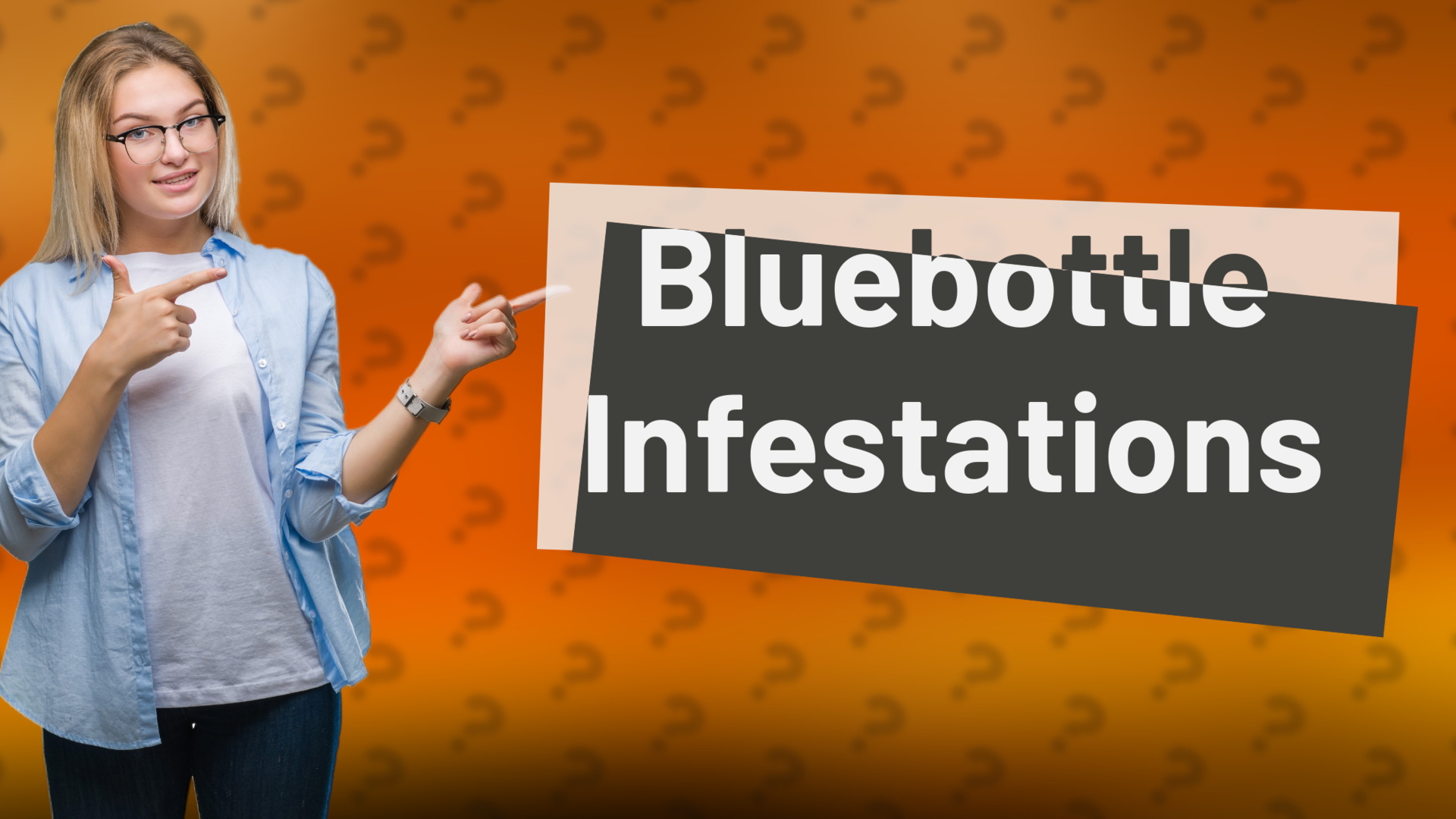 Bluebottle Infestations