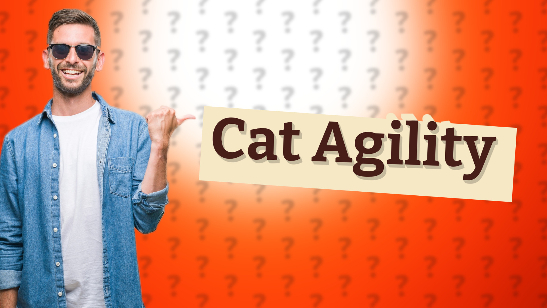 Cat Agility