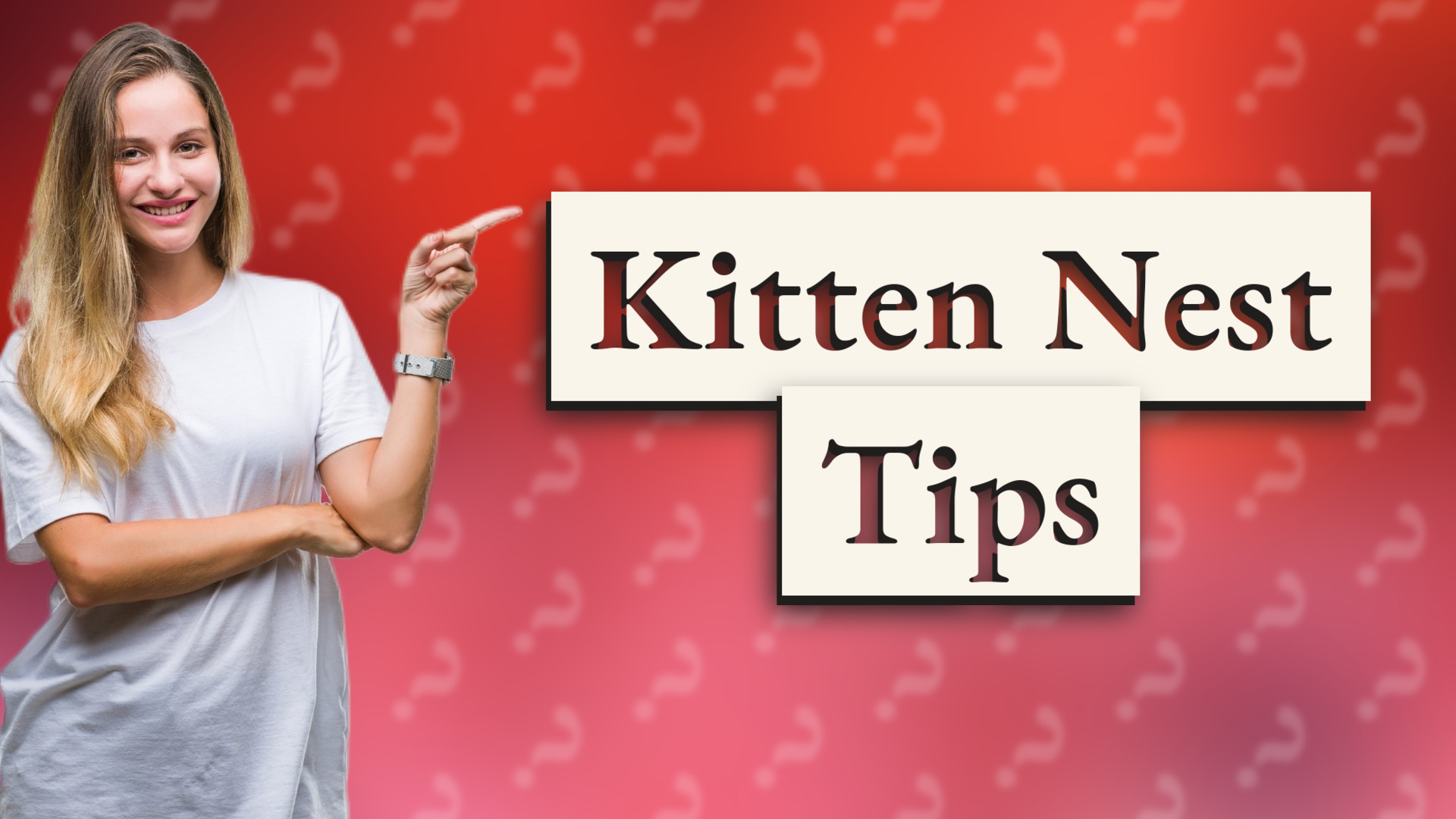 Kitten Nest Tips