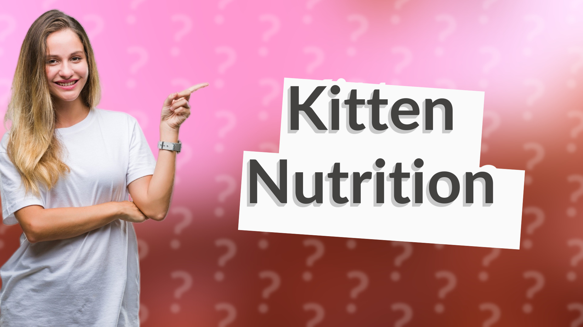 Kitten Nutrition