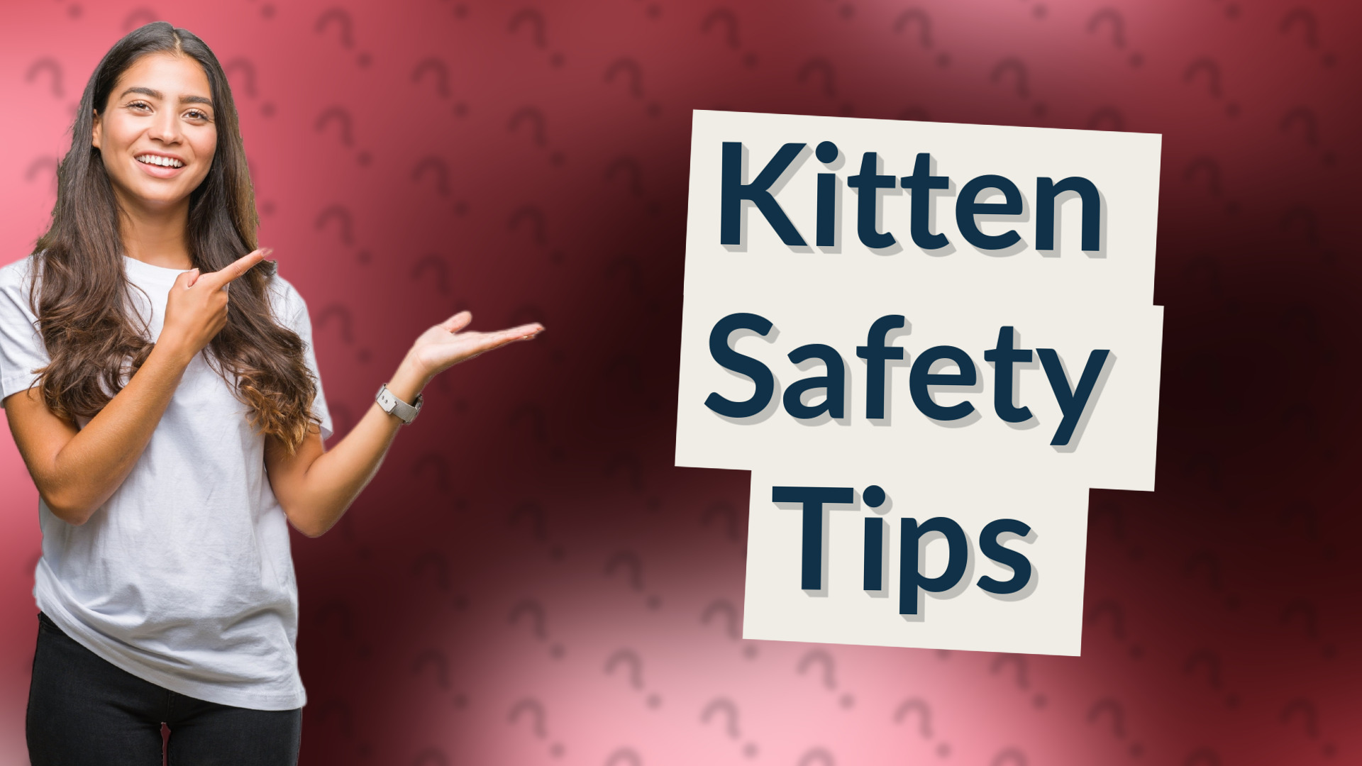 Kitten Safety Tips