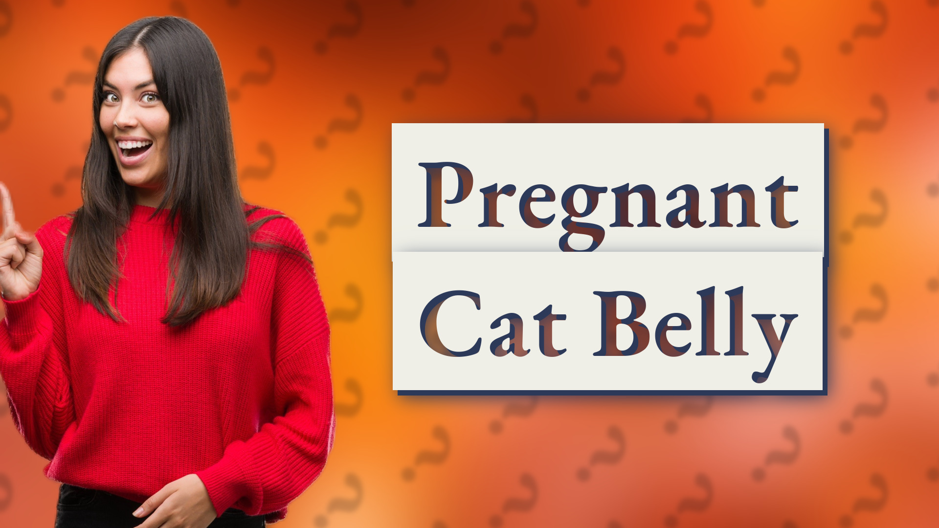 Pregnant Cat Belly