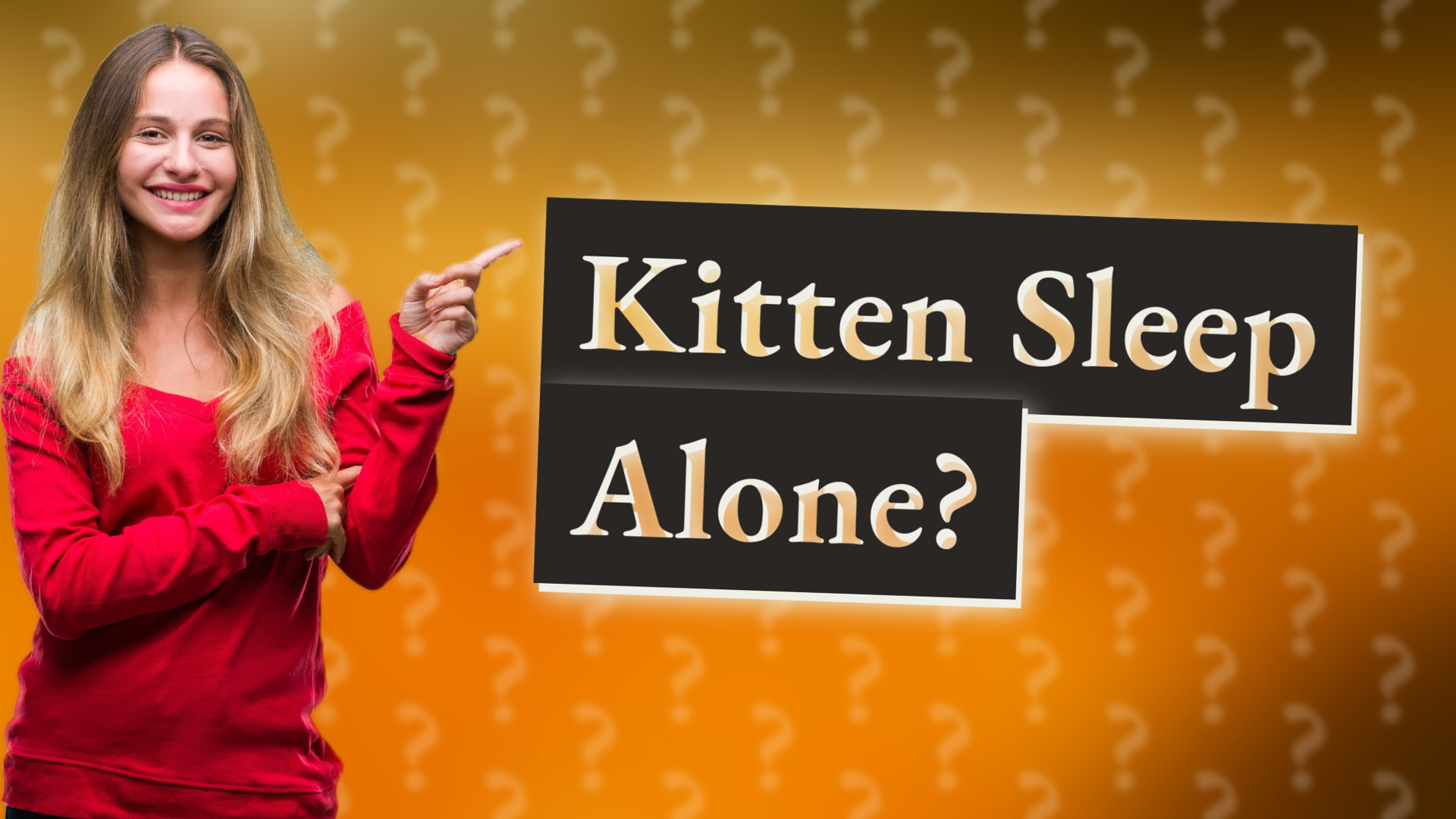 Kitten Sleep Alone?