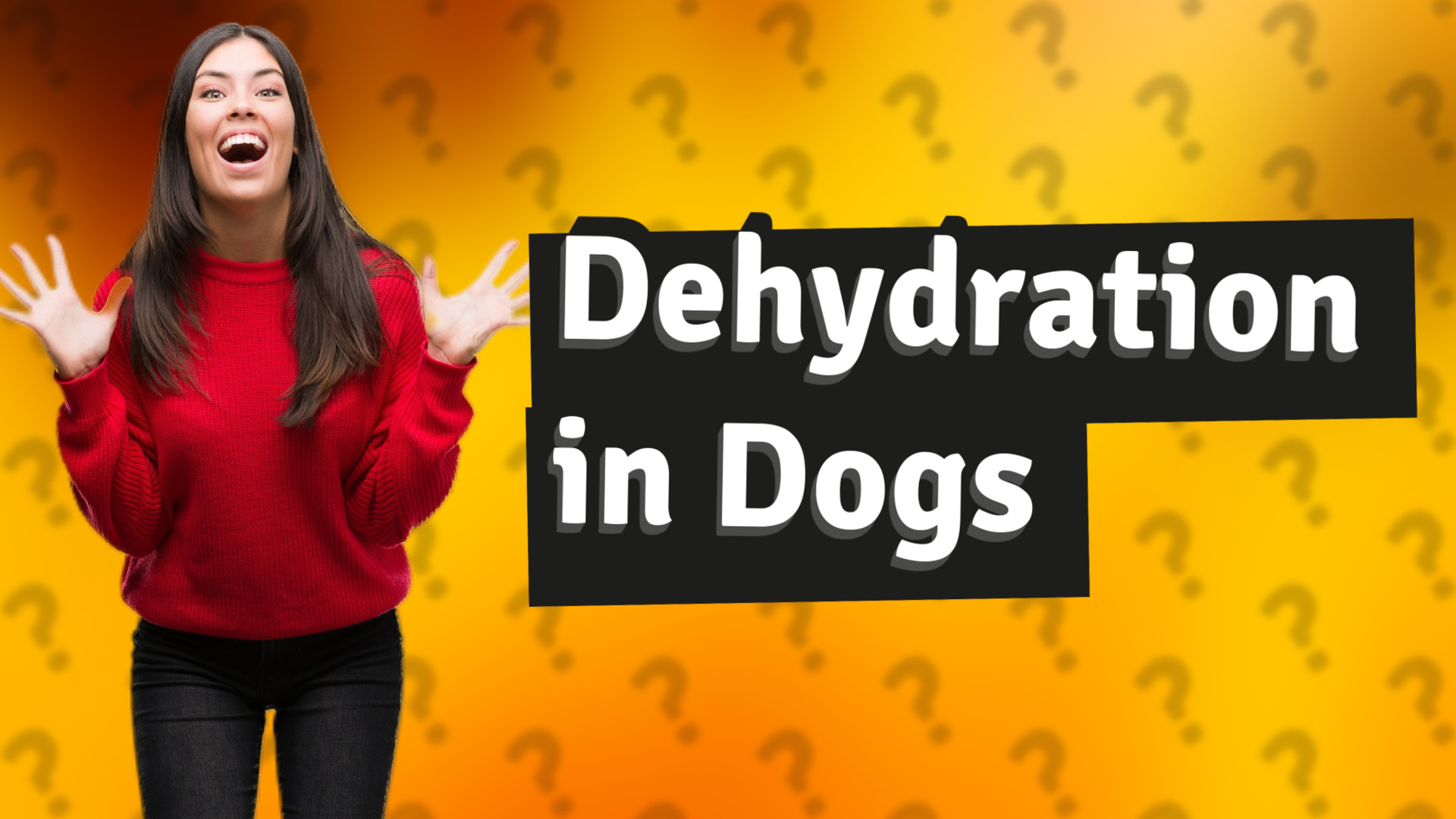 Dehydration in Dogs