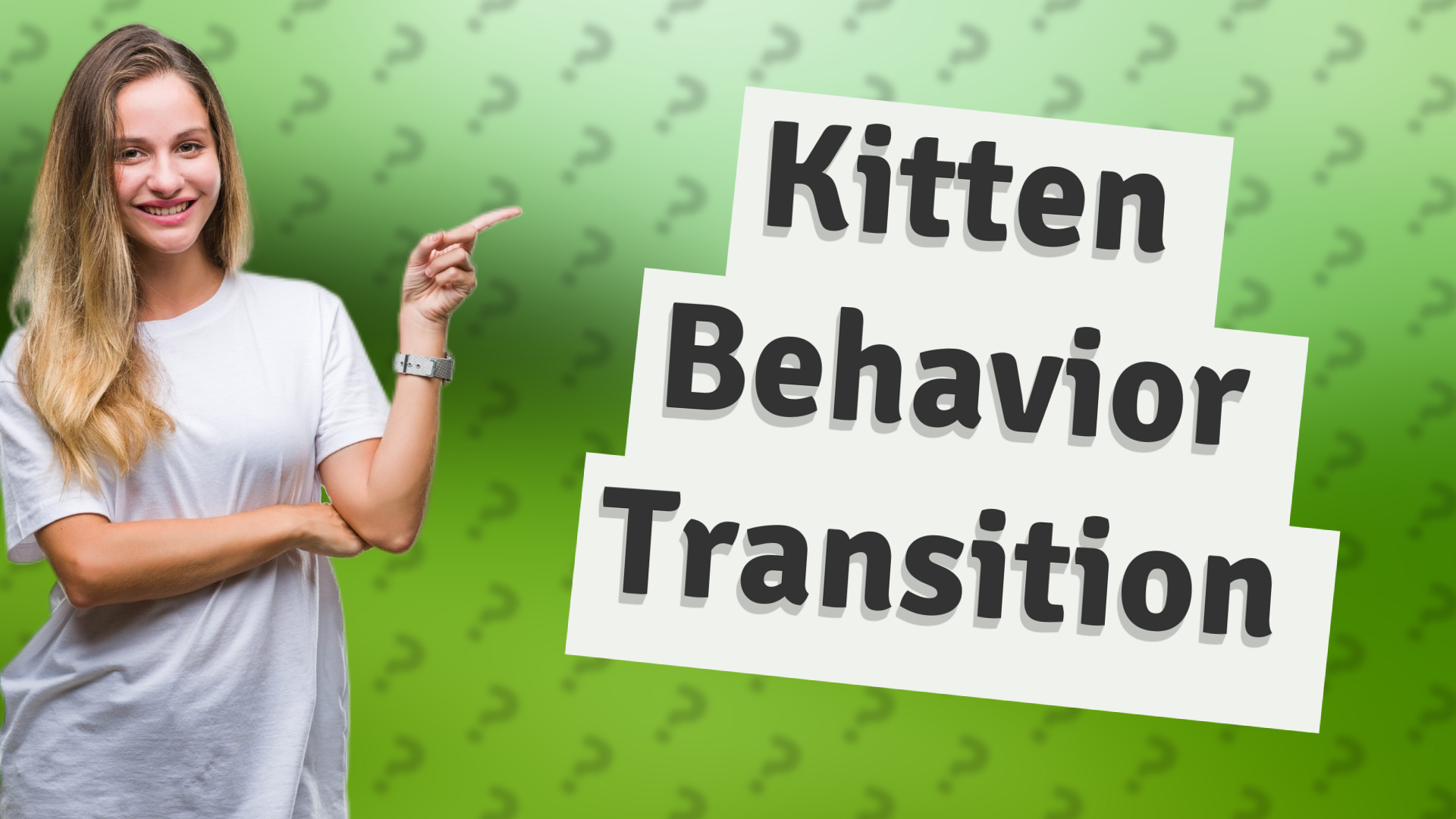 Kitten Behavior Transition