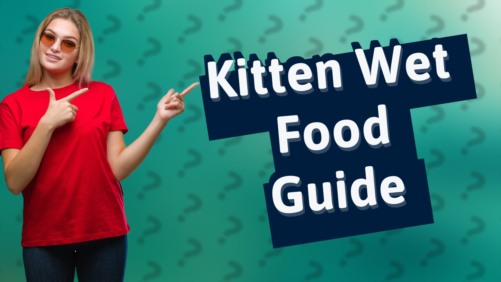 Kitten Wet Food Guide