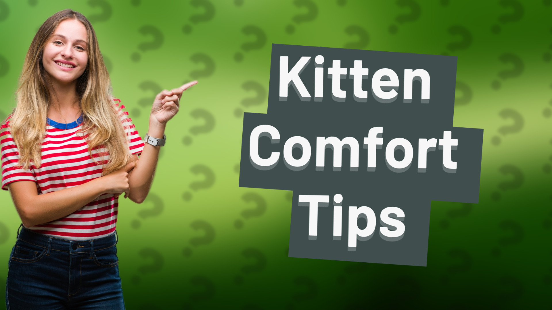 Kitten Comfort Tips