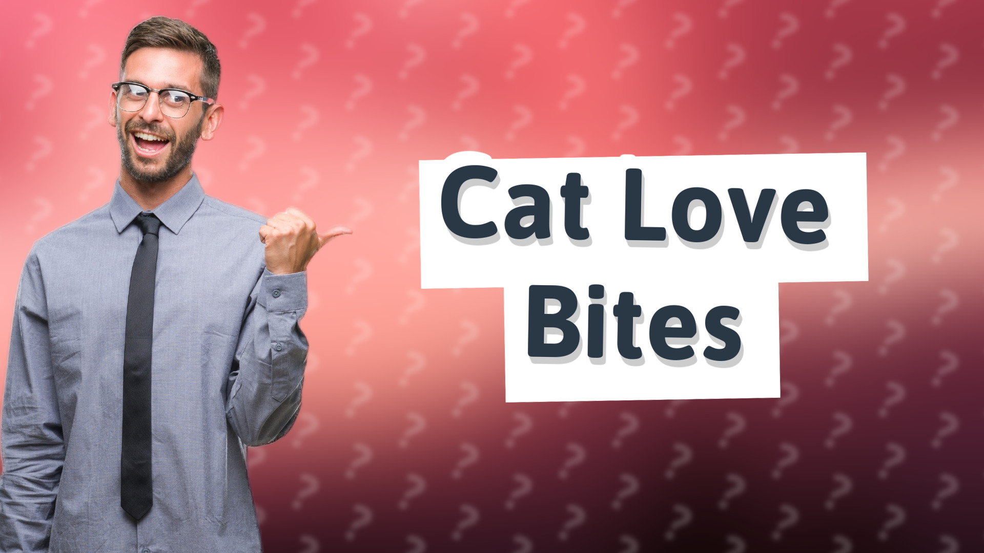 Cat Love Bites