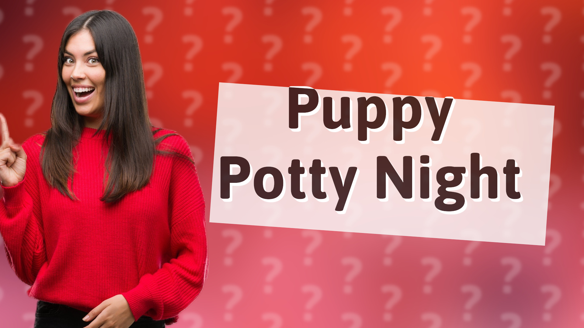 Puppy Potty Night