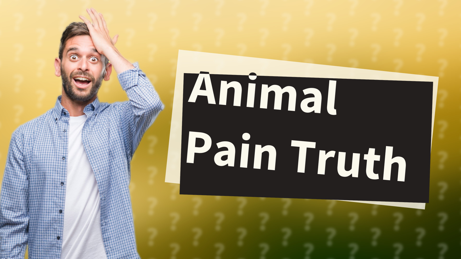Animal Pain Truth