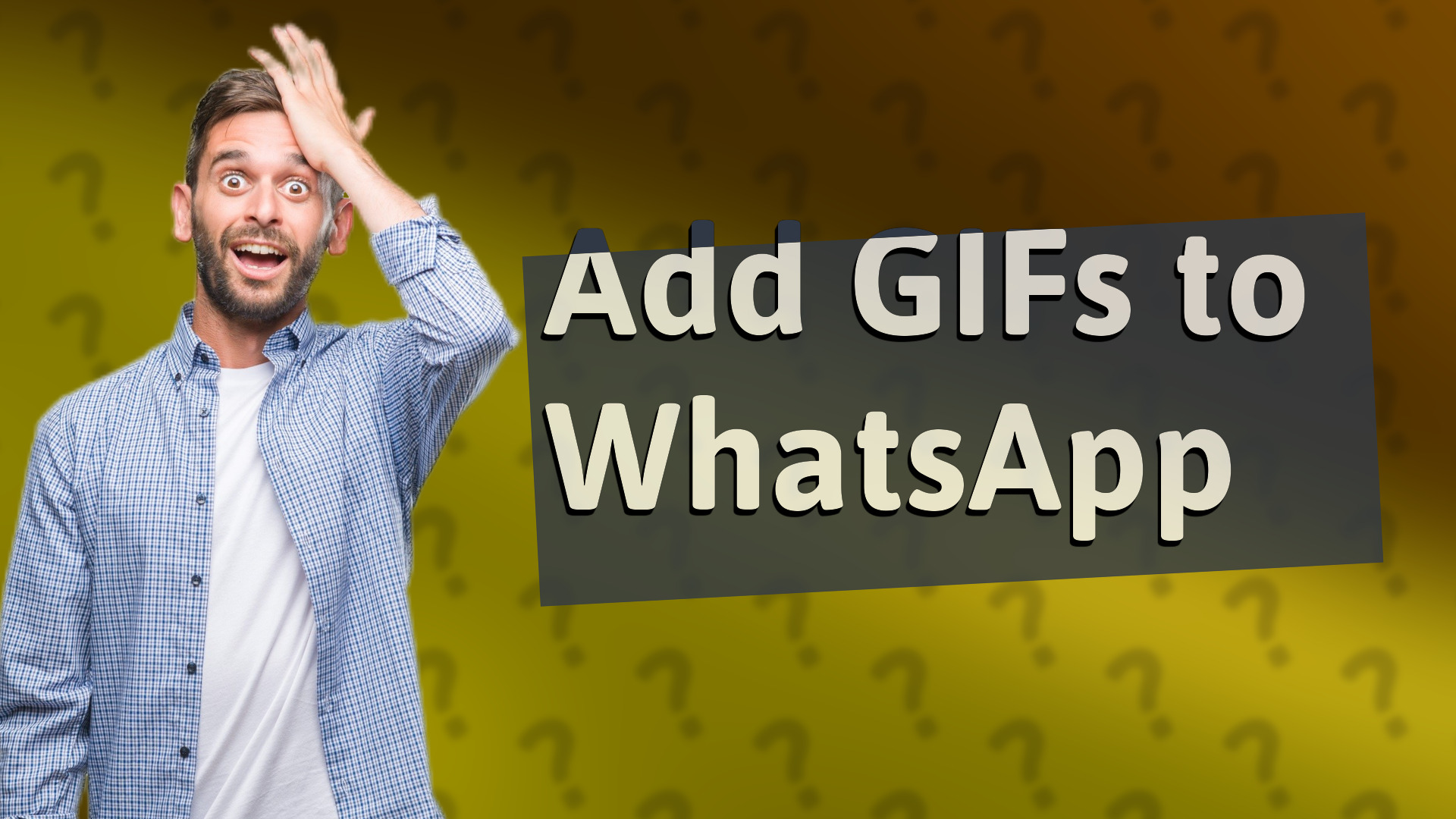 Add GIFs to WhatsApp
