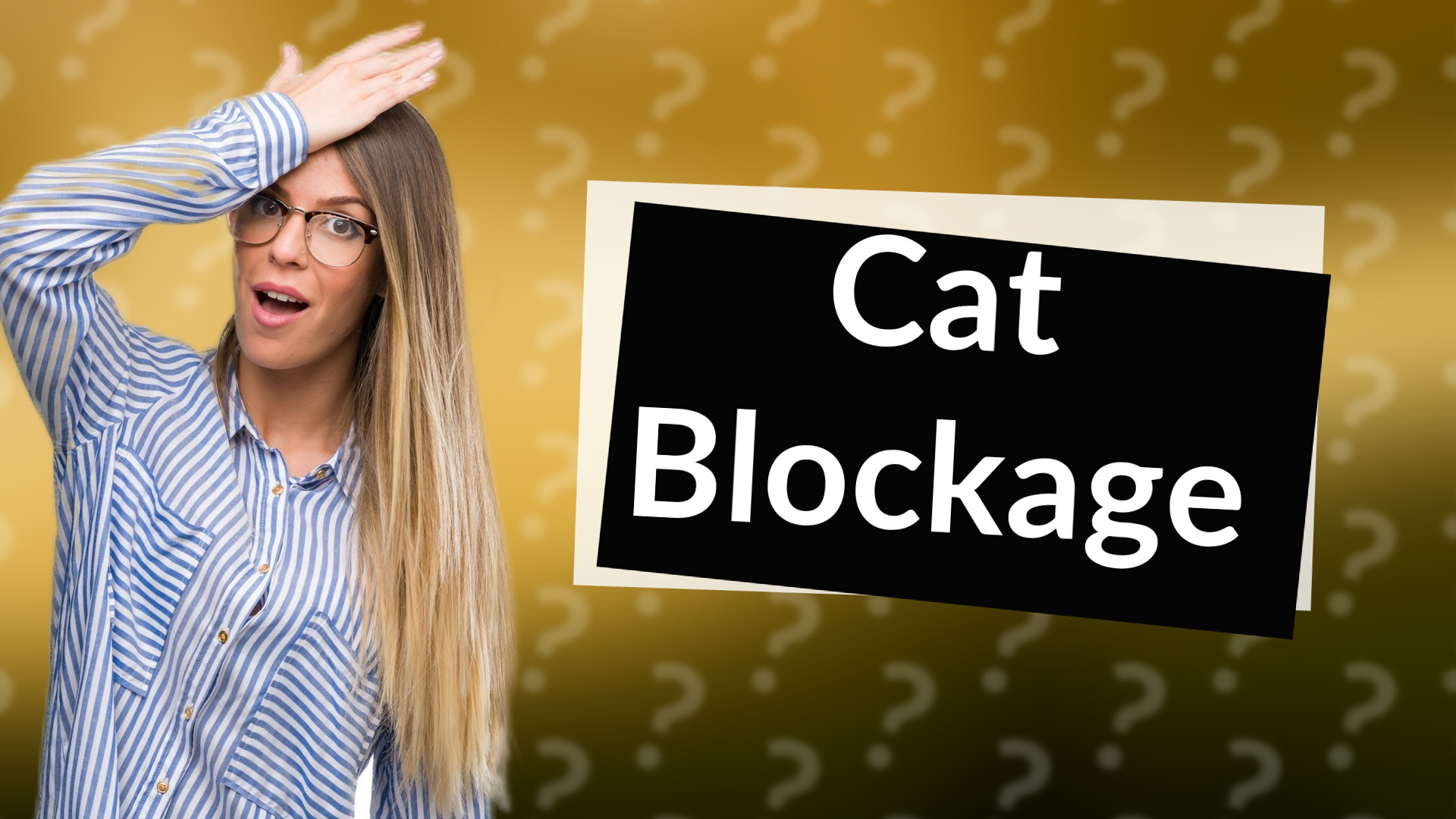 Cat Blockage