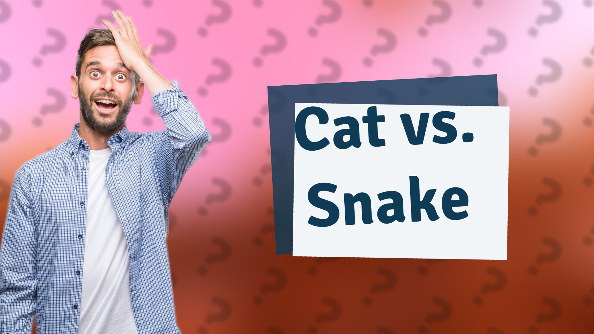 Cat vs. Snake