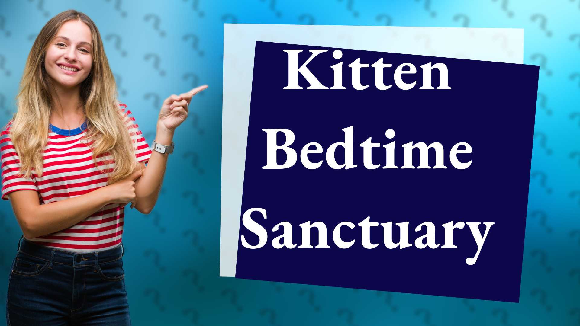 Kitten Bedtime Sanctuary
