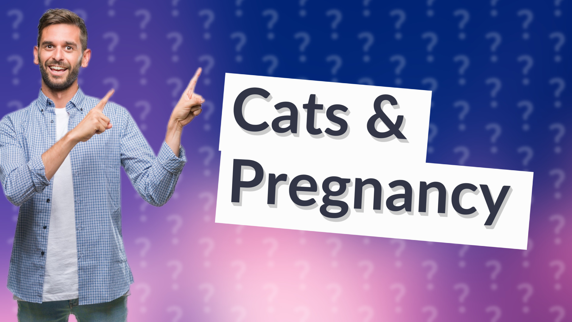 Cats & Pregnancy