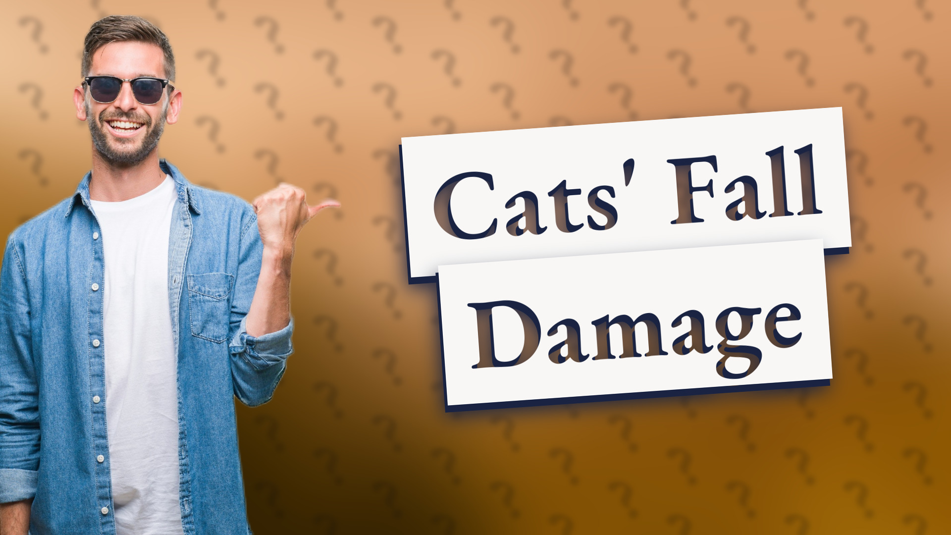 Cats' Fall Damage