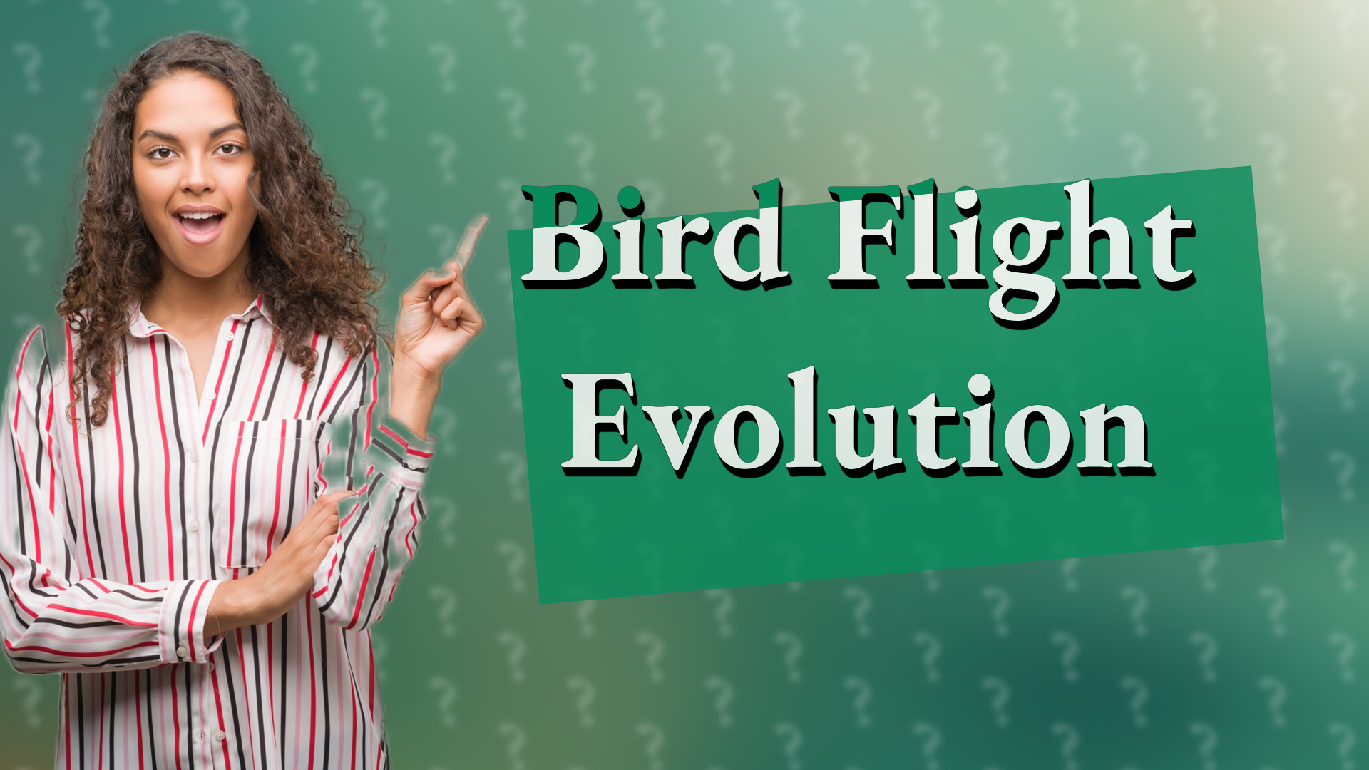 Bird Flight Evolution