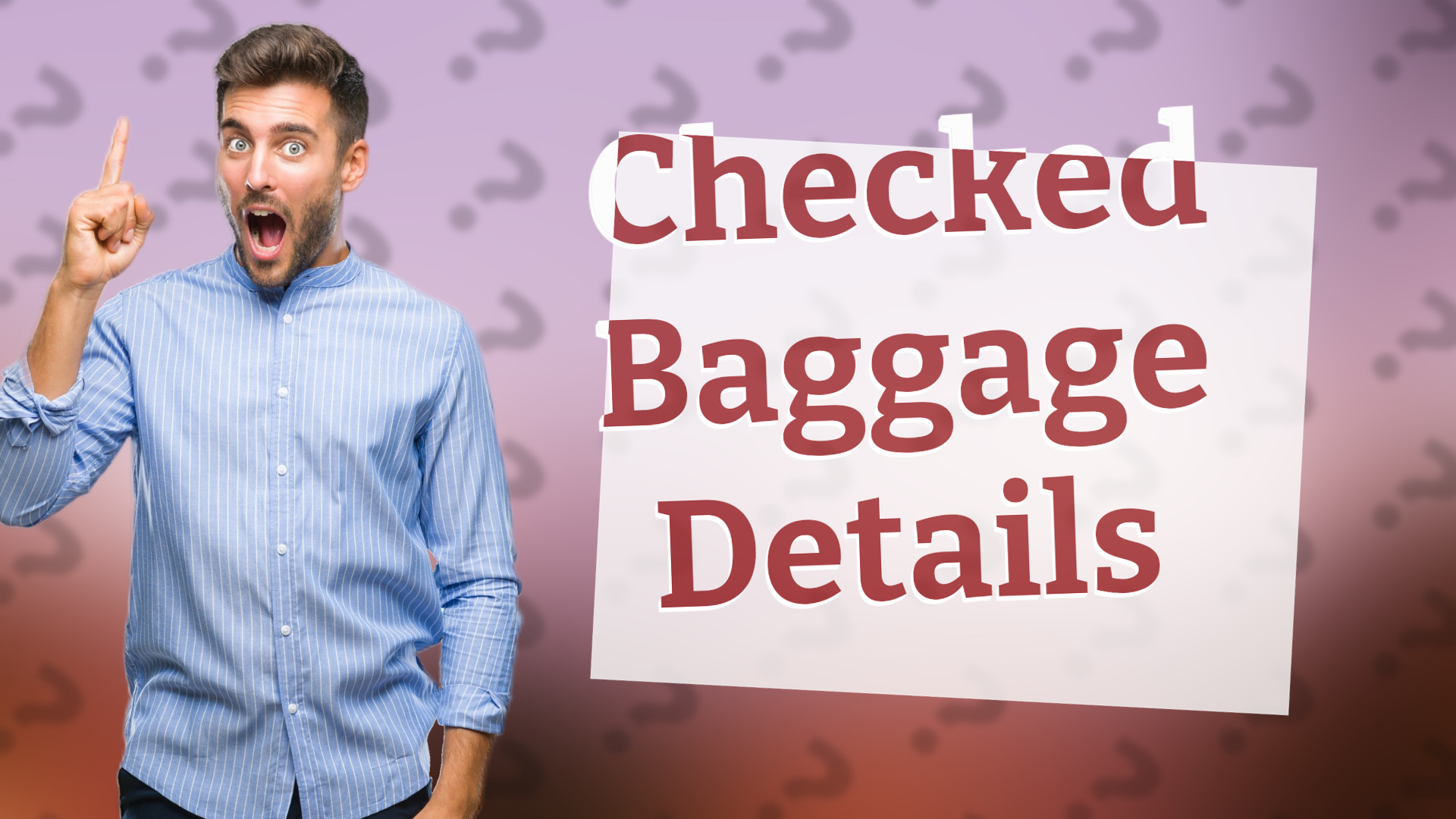 Checked Baggage Details