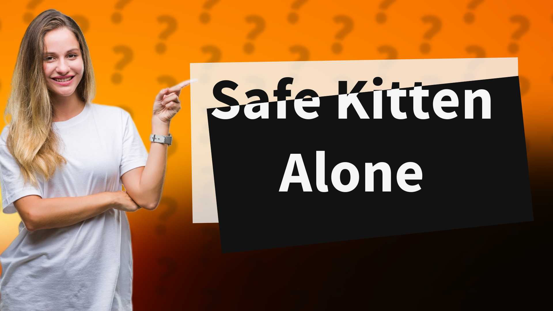 Safe Kitten Alone