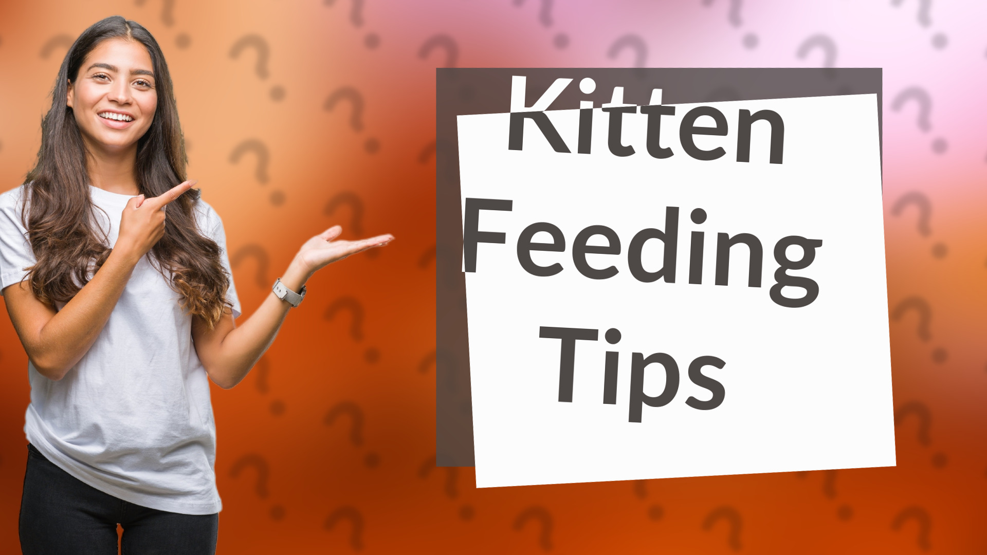 Kitten Feeding Tips