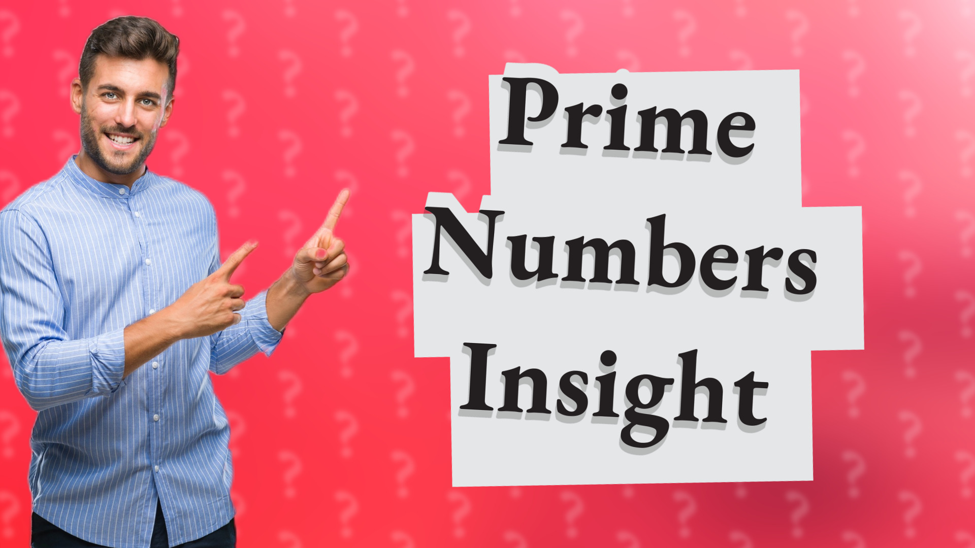 Prime Numbers Insight
