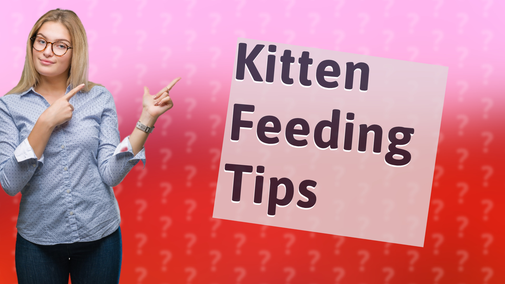 Kitten Feeding Tips