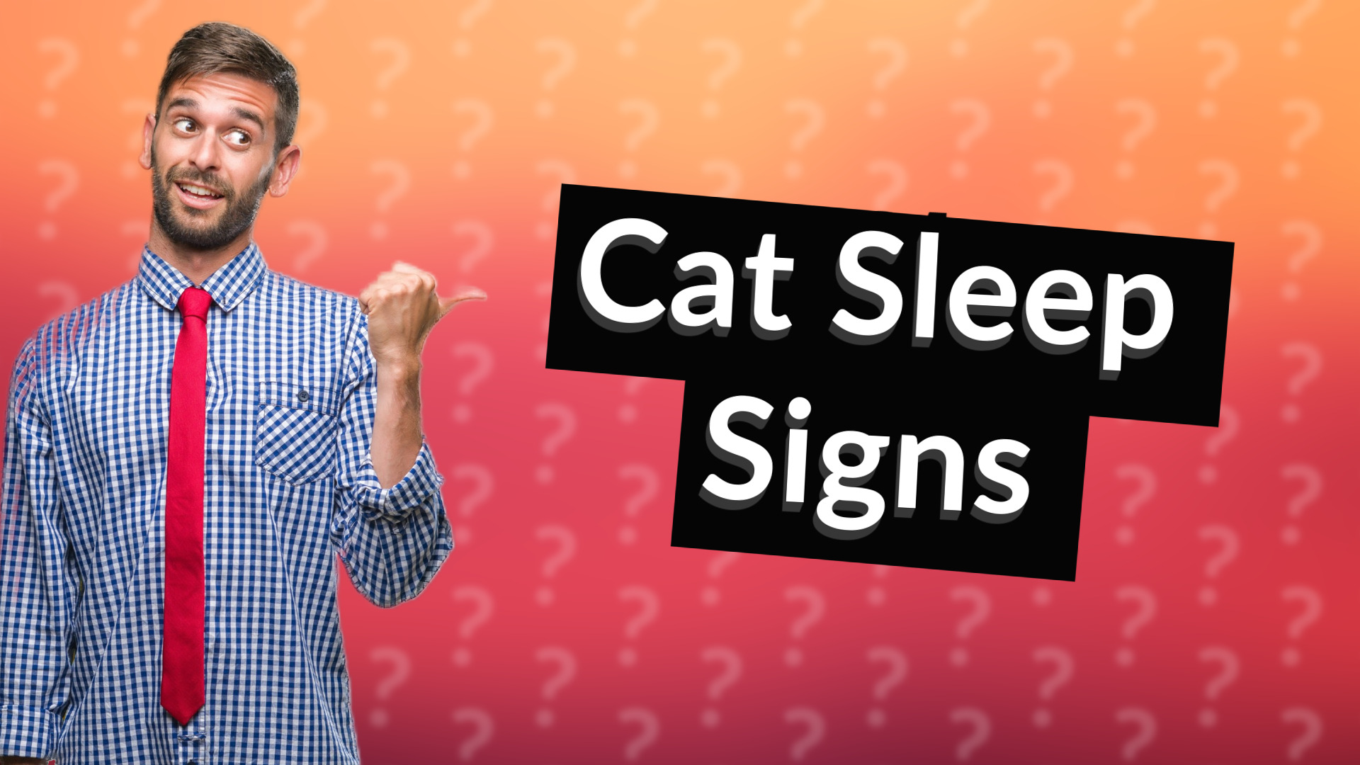 Cat Sleep Signs