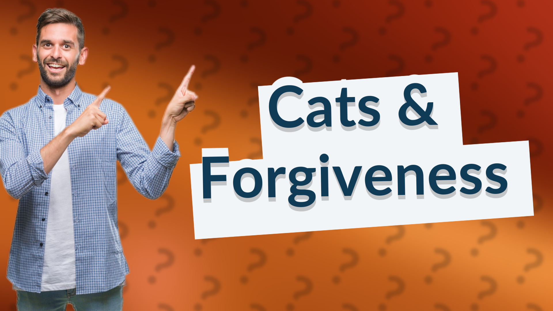 Cats & Forgiveness