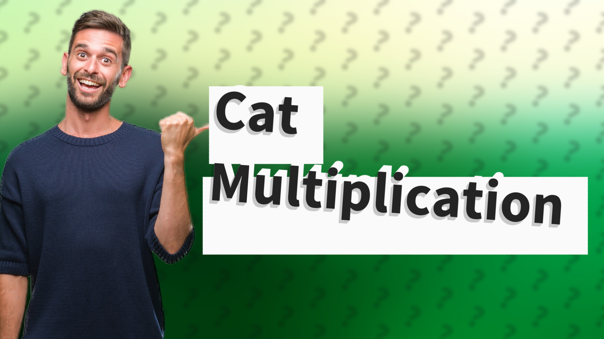 Cat Multiplication