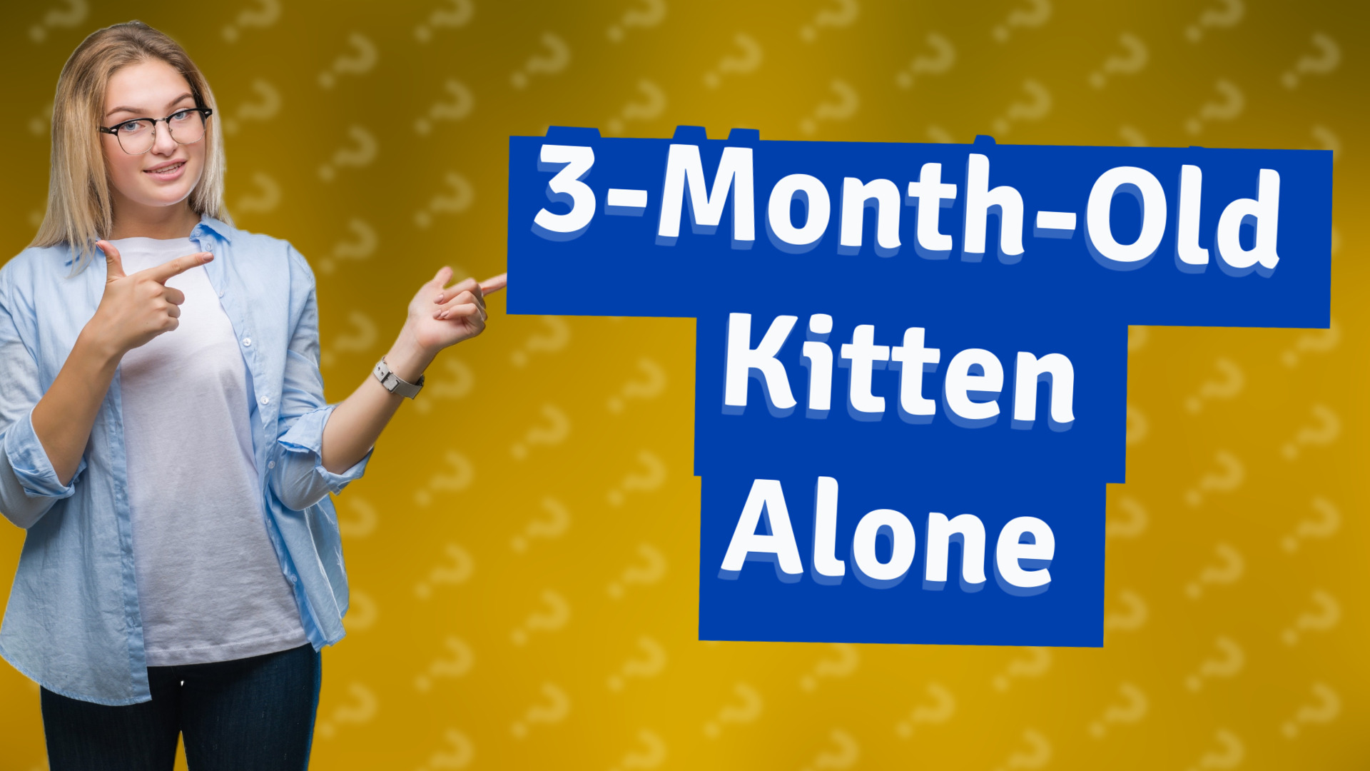 3-Month-Old Kitten Alone
