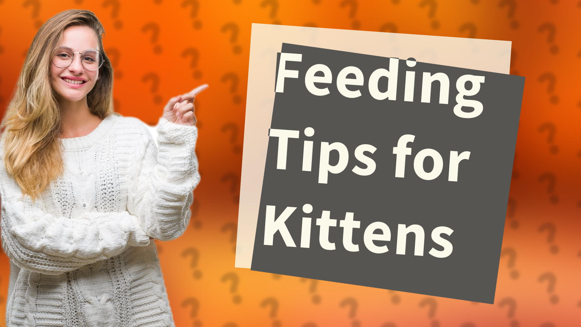 Feeding Tips for Kittens