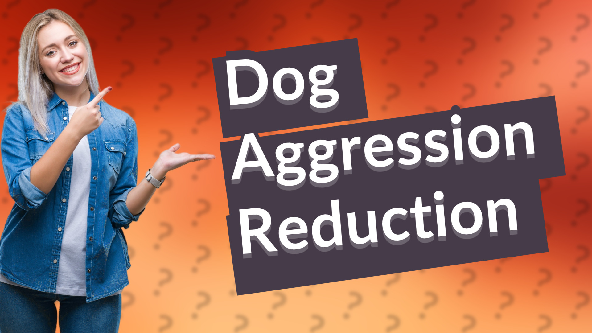 Dog Aggression Reduction