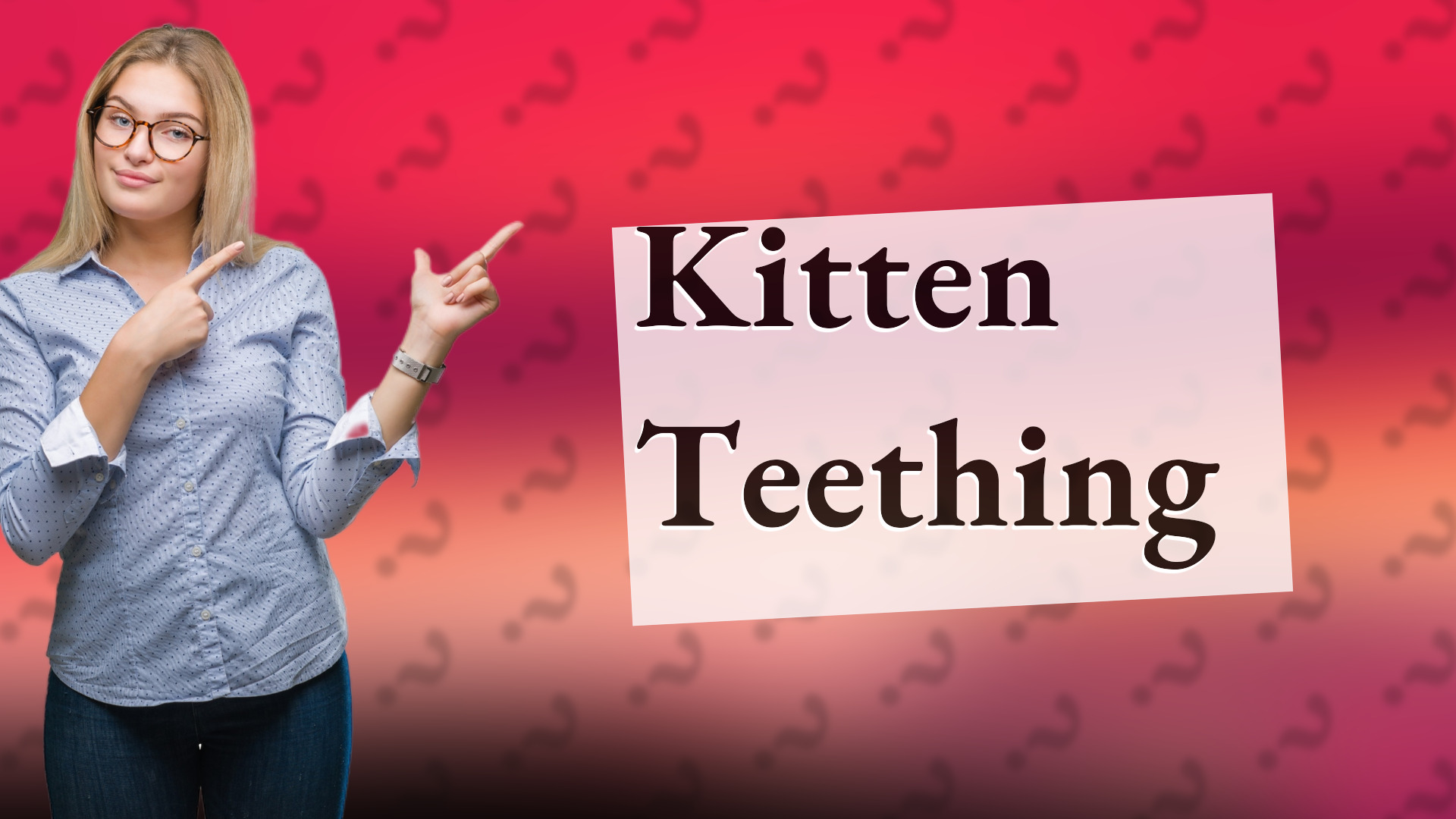 Kitten Teething