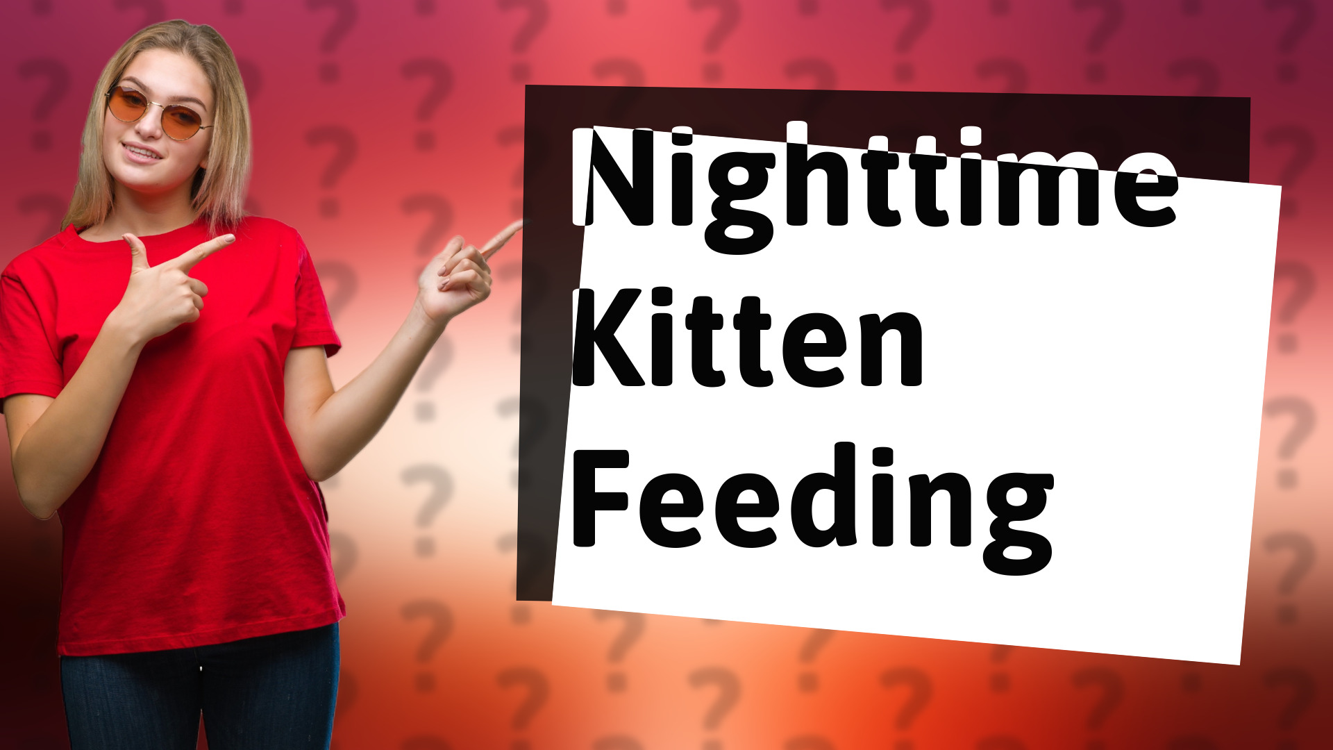 Nighttime Kitten Feeding