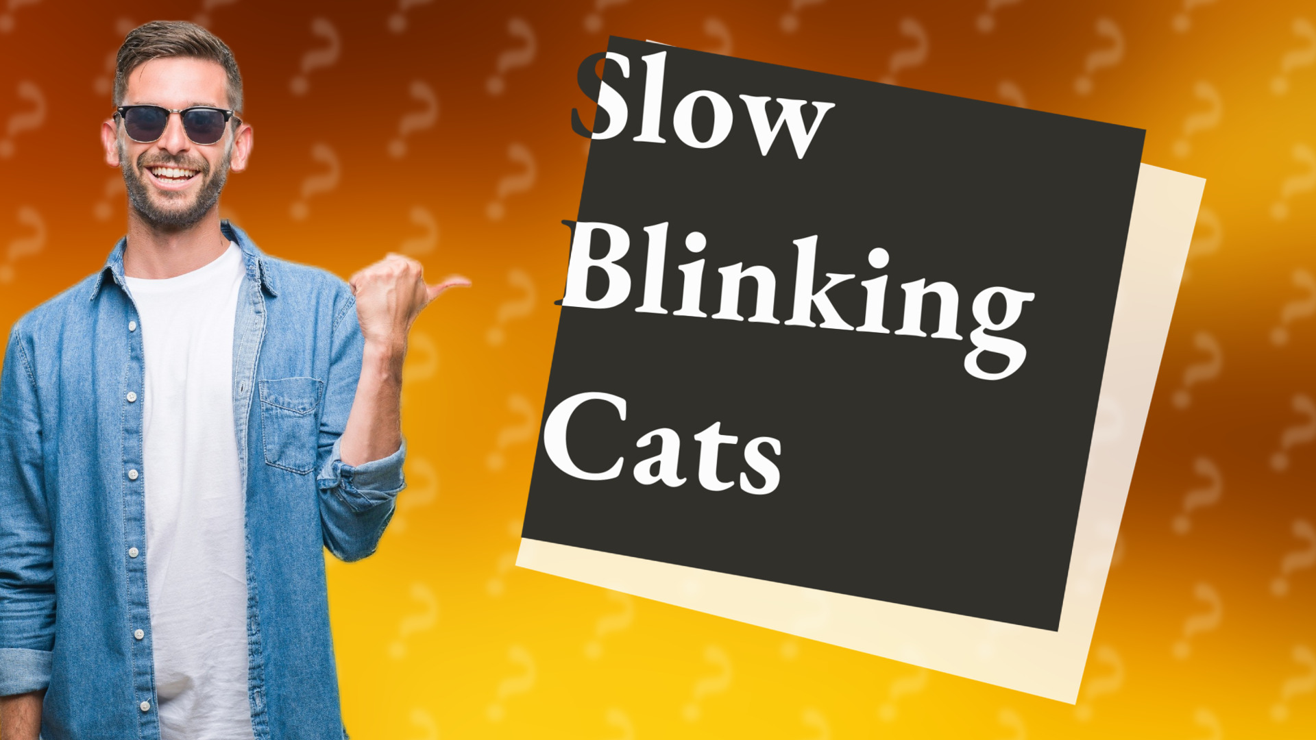 Slow Blinking Cats