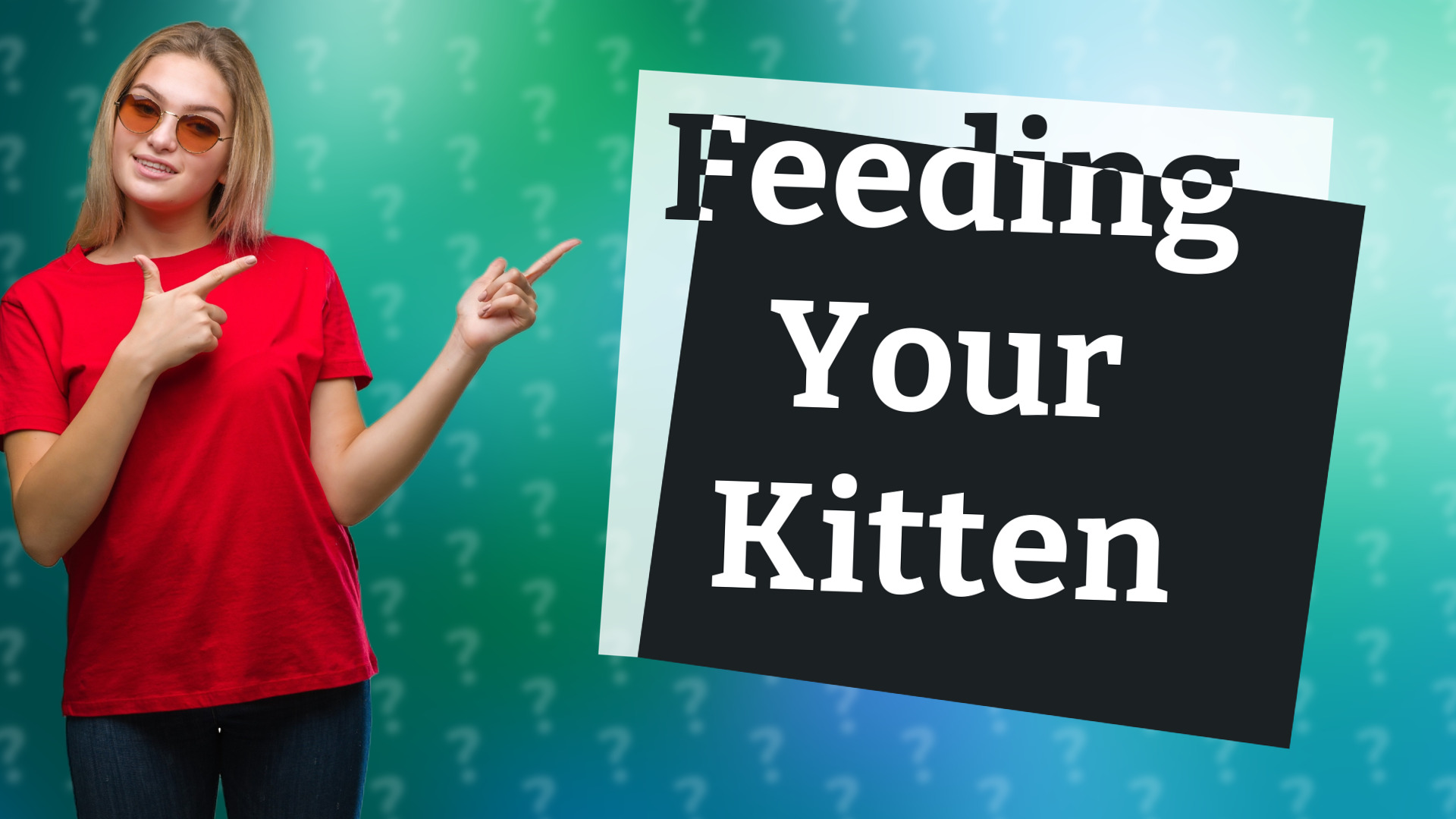 Feeding Your Kitten