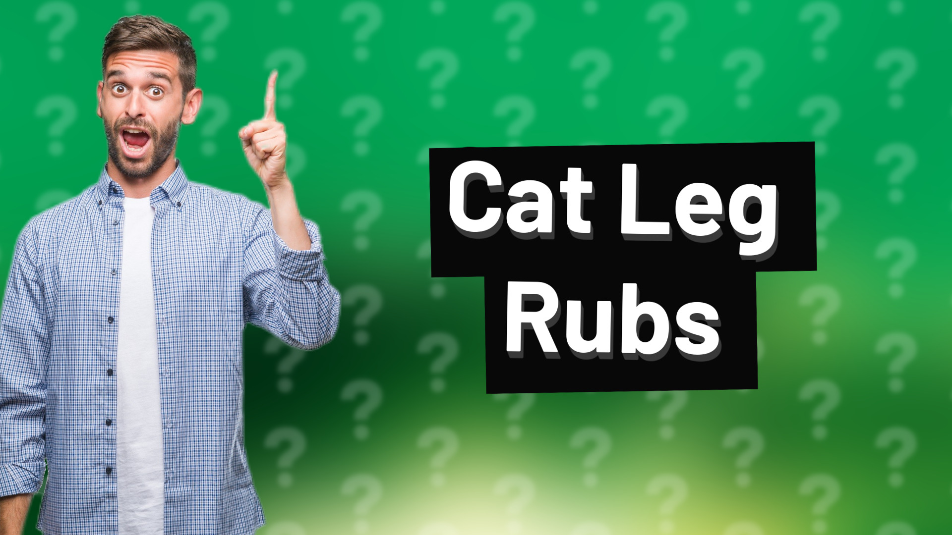 Cat Leg Rubs