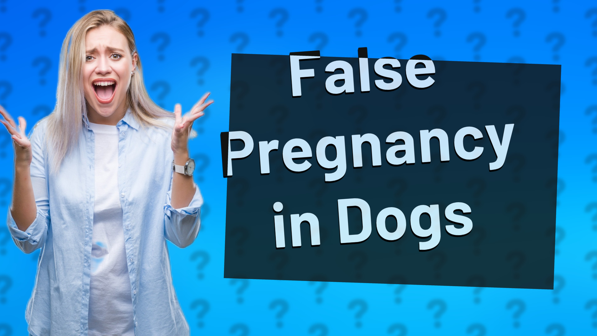 False Pregnancy in Dogs