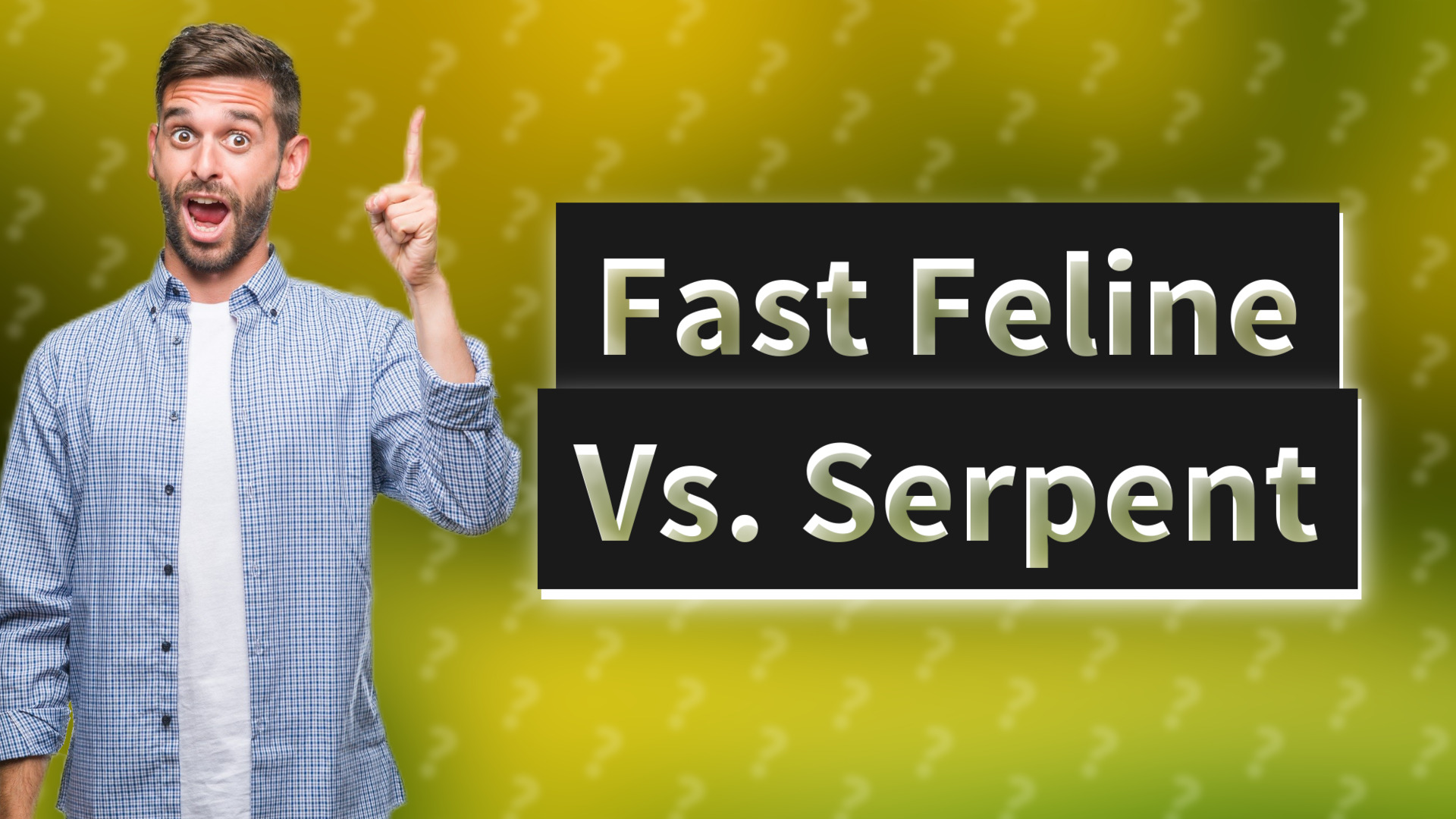 Fast Feline Vs. Serpent