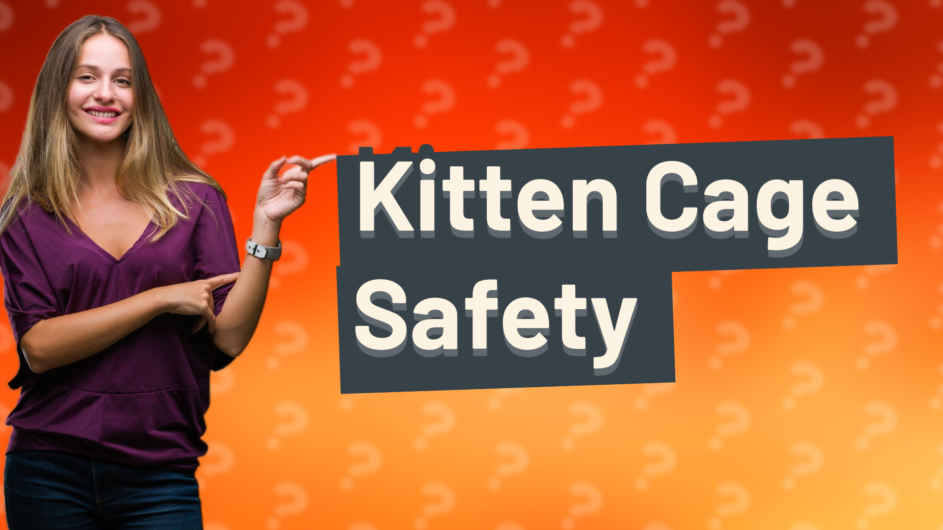 Kitten Cage Safety