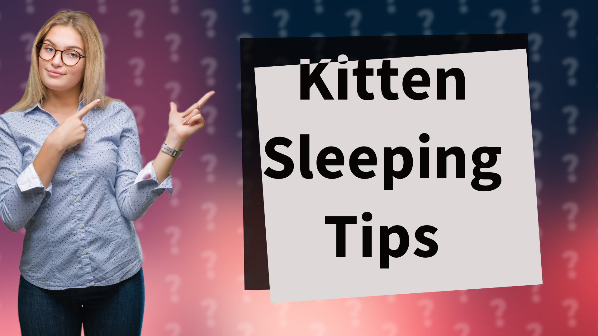 Kitten Sleeping Tips