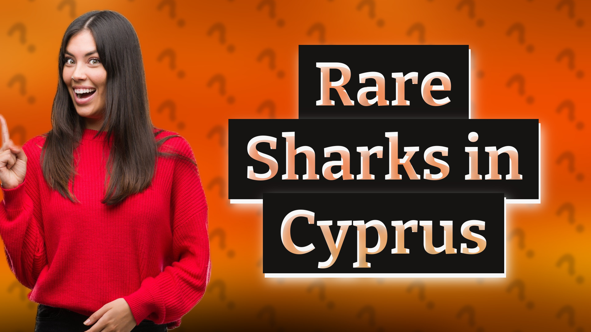 Rare Sharks in Cyprus