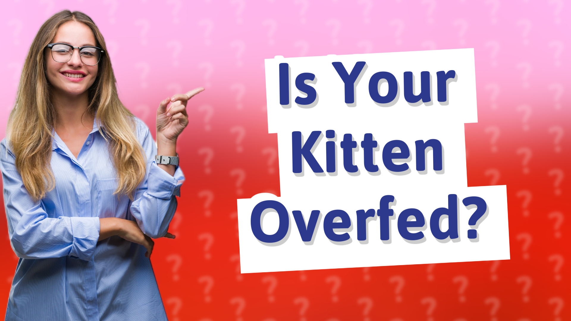 Is Your Kitten Overfed?