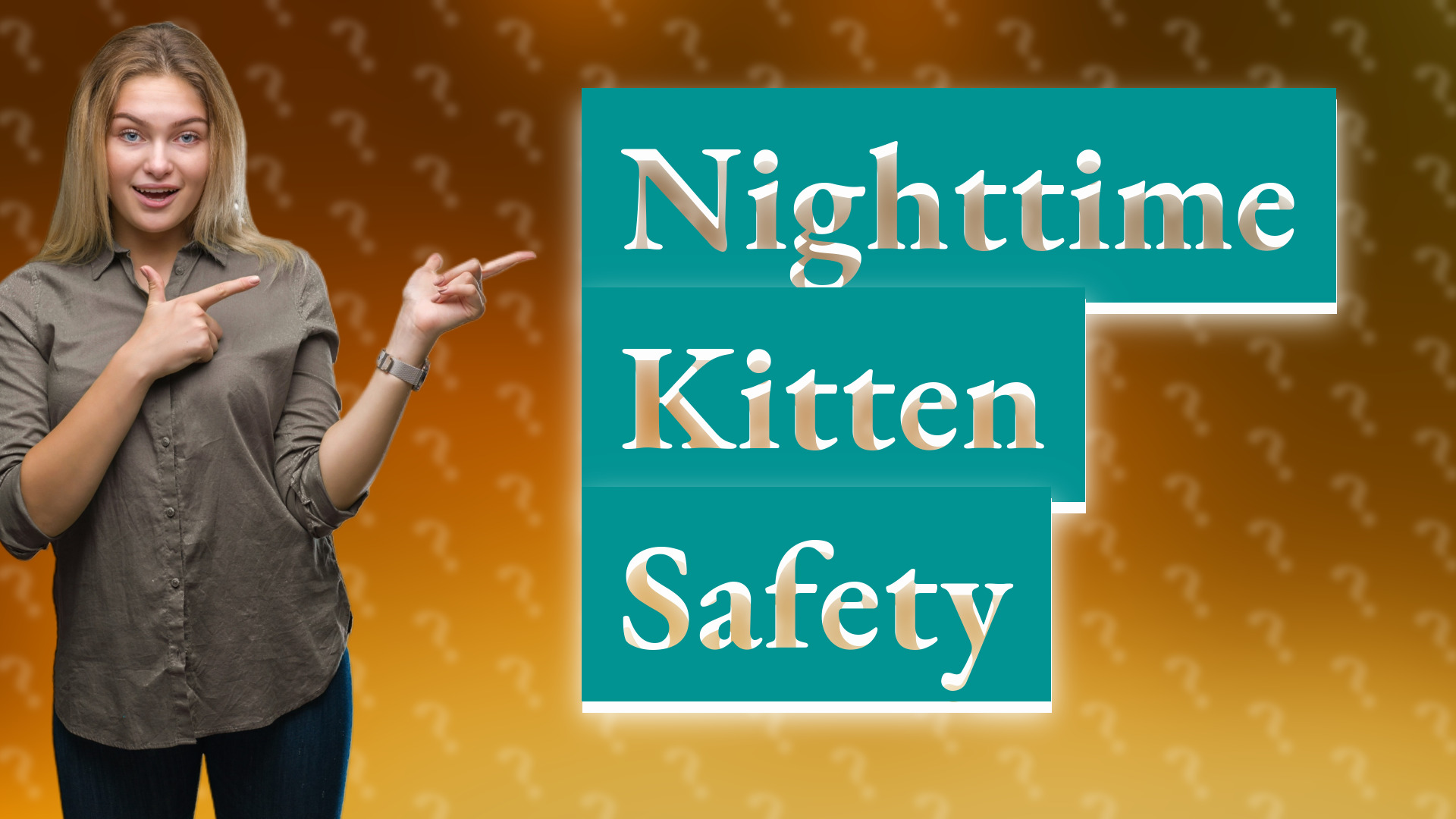 Nighttime Kitten Safety