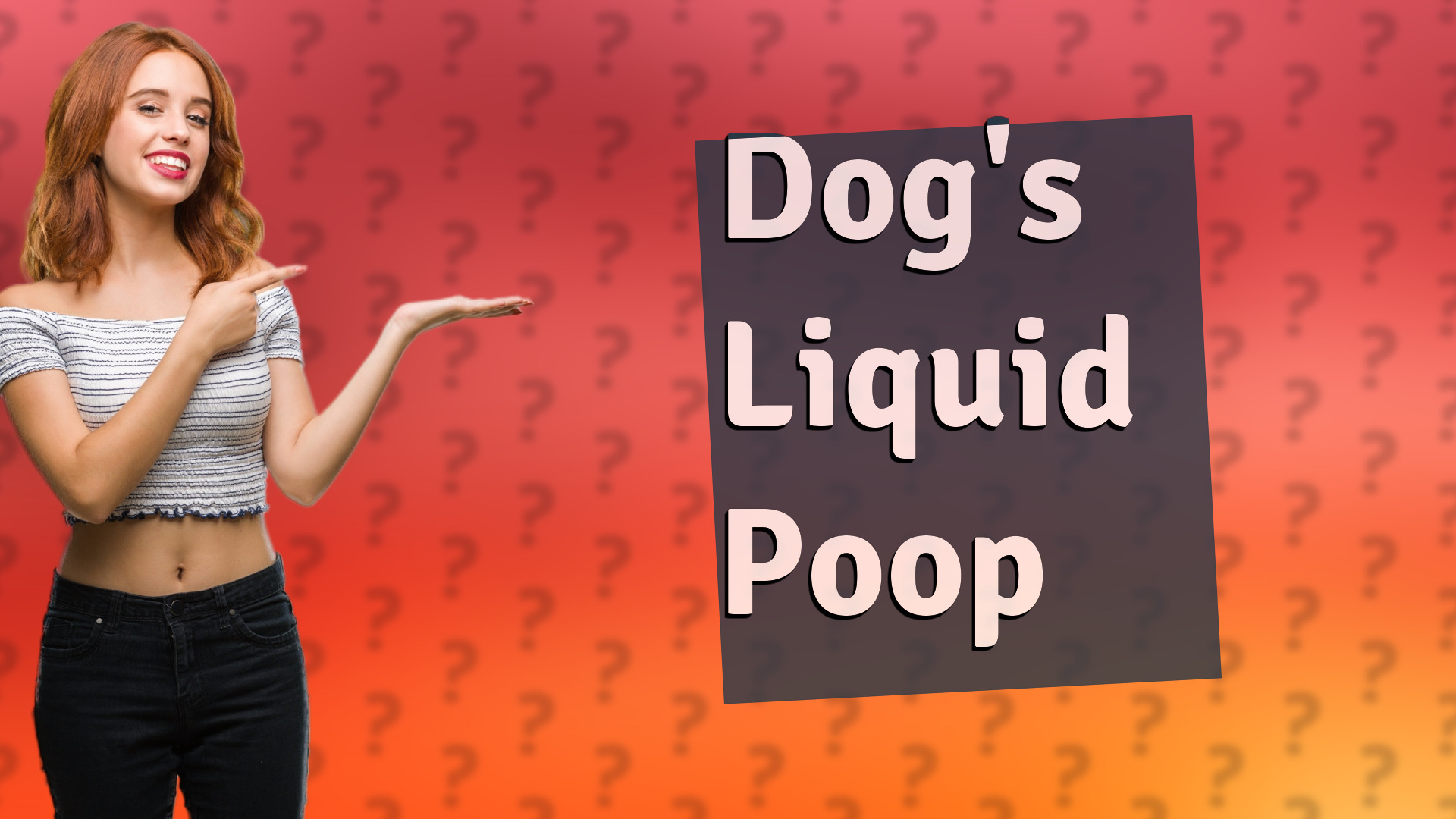 Dog's Liquid Poop