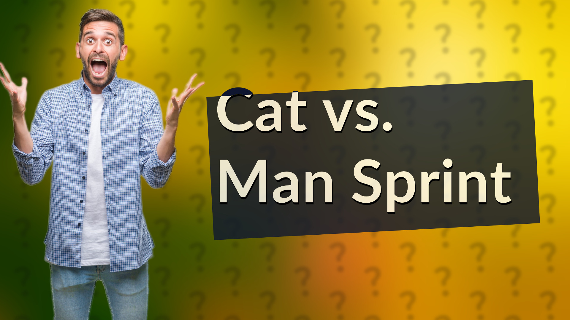 Cat vs. Man Sprint
