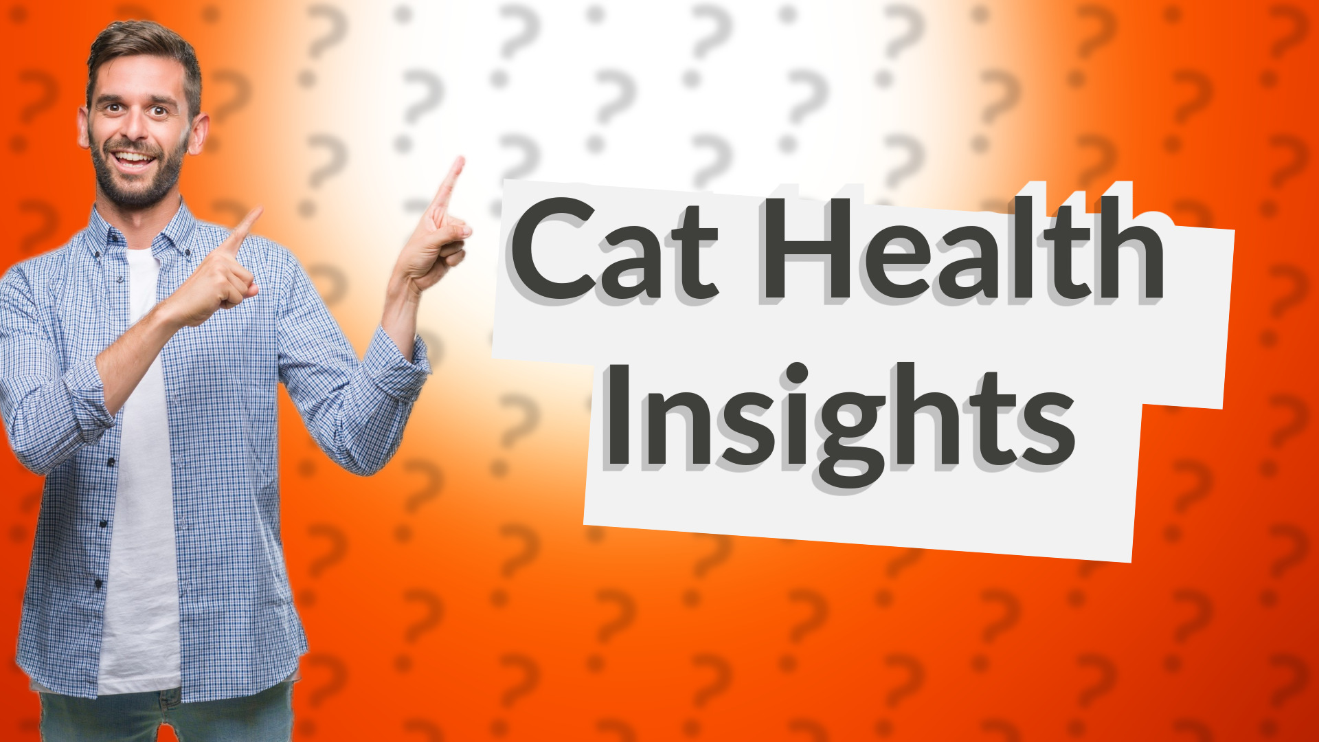 Cat Health Insights